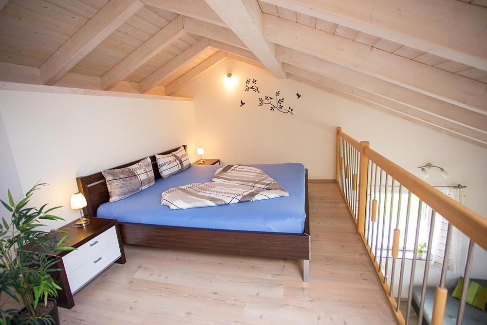 Apartment Allgaeu - Fussen