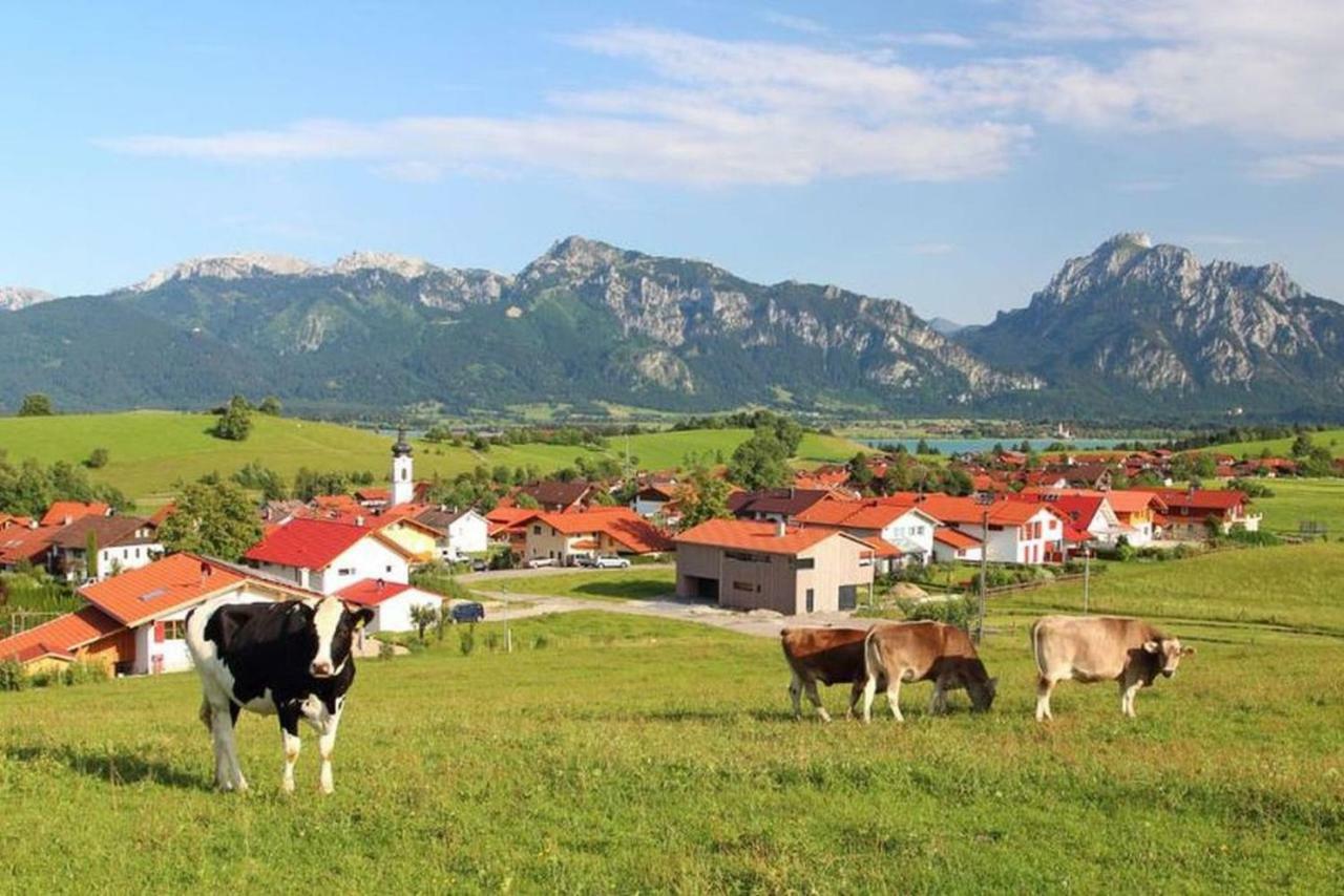 Allgaeu - Apartment *