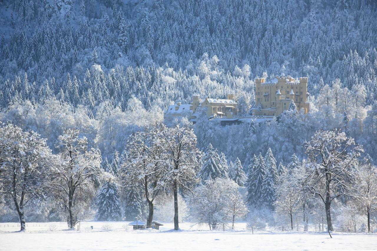 Allgaeu - Apartment
